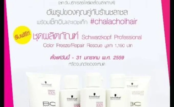 “แชะ แอนด์ เช็ค” CHALACHOL BANGKOK