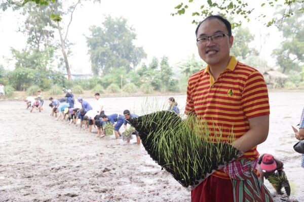 ธรรมศาสตร์ เปิดตัว “นวัตกรรมการดำนาน้ำน้อย” การันตีลดการใช้น้ำปริมาณ 3 เท่า รับมือน้ำแล้งปี 59