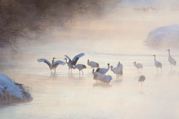 อดีต รมว.ทส. โชว์สุดยอดผลงานภาพถ่ายสัตว์ป่าเขตร้อน ในนิทรรศการ “Wing & Wildlife: ปีกและพงไพร สายใยแห่งป่าเขตร้อน” ณ จัตุรัสวิทยาศาสตร์ อพวช. อาคารจัตุรัสจามจุรี ชั้น 4 กรุงเทพฯ