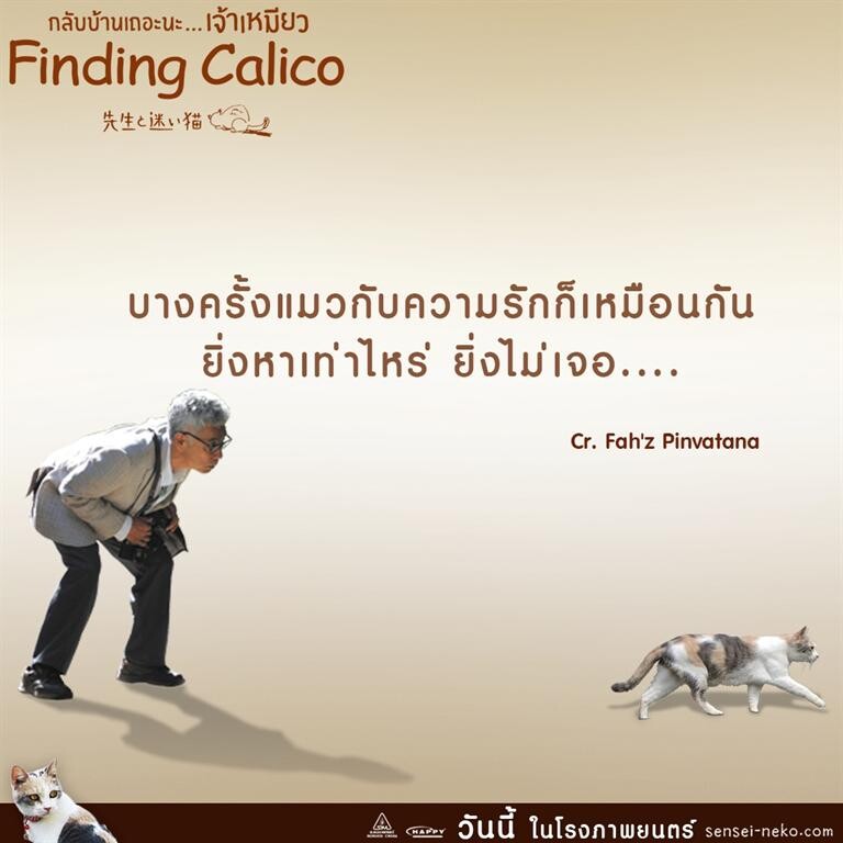 FINDING CALICO กระแสชื่นชม แมวน่ารัก หนังน่าดู กลับบ้านเถอะนะ เจ้าเหมียว