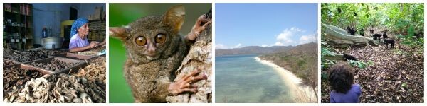 Macaques, Herbalists and Sail Boats: Khiri Travel’s New Indonesian Journeys