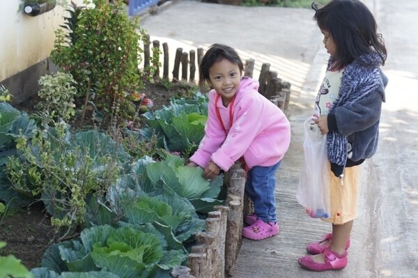 2 พลังบวก “สสส. ท้องถิ่น” สร้างวินัยคนเมือง ต้นแบบเมืองน่าอยู่ ที่วังสะพุง