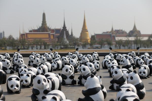 กองทัพแพนด้าน้อยกว่า 1,600 ตัว “สวัสดีชาวไทย!” เป็นครั้งแรก เริ่มภารกิจแฟลชม็อบประเดิมที่ “สนามหลวง”  จุดประเด็นการอนุรักษ์สัตว์ป่าใกล้สูญพันธุ์ในประเทศไทย