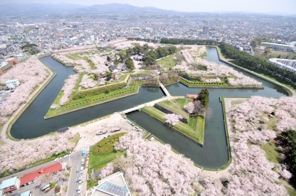 ขอนำเสนอ สถานที่สำหรับชมซากุระที่ไม่ควรพลาด สำหรับปริ๊นซ์โฮเต็ลแต่ละแห่งทั่วญี่ปุ่น