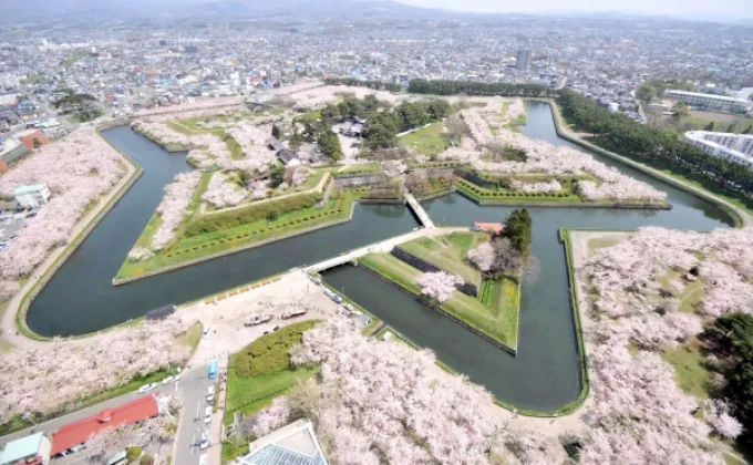 ขอนำเสนอ สถานที่สำหรับชมซากุระที่ไม่ควรพลาด