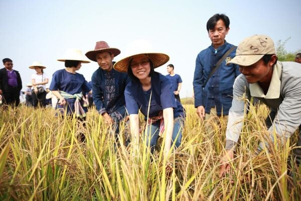 “กระทรวงพาณิชย์” นำชมศูนย์การเรียนรู้เกษตรอินทรีย์ กลุ่มข้าวไรซ์เบอร์รี่วัลเลย์ อู่คำ จ.บึงกาฬ