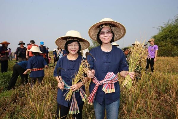 “กระทรวงพาณิชย์” นำชมศูนย์การเรียนรู้เกษตรอินทรีย์ กลุ่มข้าวไรซ์เบอร์รี่วัลเลย์ อู่คำ จ.บึงกาฬ