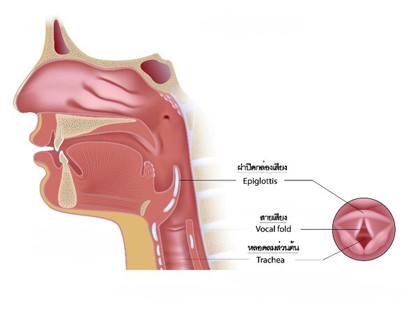 อย่าให้เสียงคุณเปลี่ยนไป เมื่อวัยเปลี่ยนแปลง