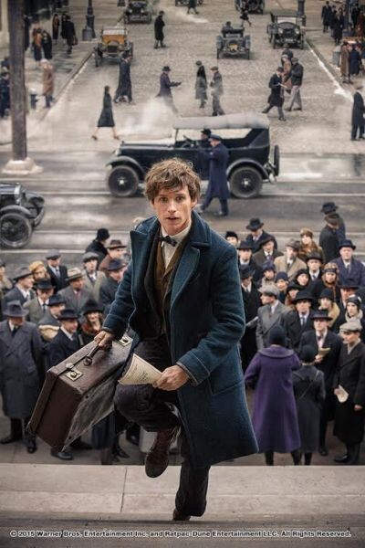 Movie Guide: ภาพจากหนังชุดล่าสุด Fantastic Beasts and Where to Find Them 17 พฤศจิกายนนี้ในโรงภาพยนตร์