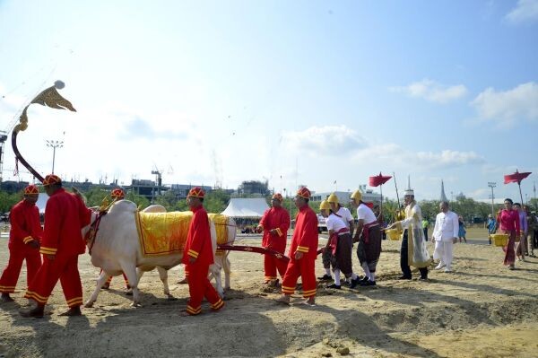 ภาพข่าว: ก.เกษตรฯ ซ้อมใหญ่พิธีพืชมงคลฯ