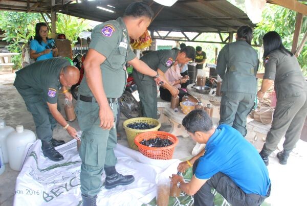 มรภ.สงขลา ชู “สะเต็มศึกษาสู่อาชีพ” พัฒนาการสอนวิทย์-คณิตครู ตชด. ครุศาสตร์ มรภ.สงขลา ใช้กิจกรรมสะเต็มศึกษา พัฒนาการสอนวิทย์-คณิตครู ตชด. ปูทางสู่อาชีพ สนองพระราชดำริสมเด็จพระเทพรัตนราชสุดาฯ สยามบรมราชกุมารี