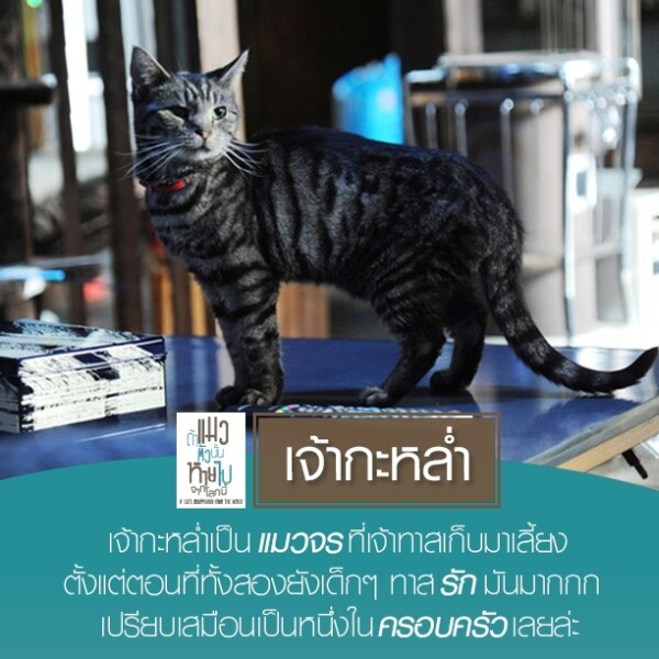 If Cats Disappeared from the World  “ถ้าแมวตัวนั้น หายไปจากโลกนี้ “