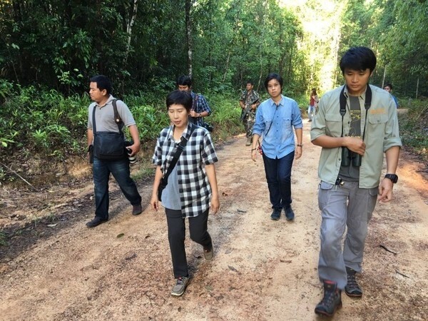 สำนักอนุรักษ์สัตว์ป่า เตรียมขยายพันธุ์ “นกแต้วแล้วท้องดำ” คู่สุดท้ายของไทย ในเรือนหอแห่งความหวัง