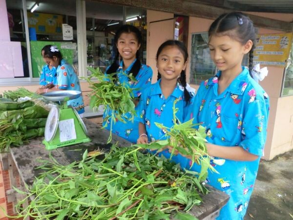 สสส. น้อมนำพระราชดำรัส สมเด็จพระเทพ ฯ ผลักดันให้เด็กไทยแก้มใส ด้วยเกษตรปลอดภัยและโภชนาการดีสมวัย