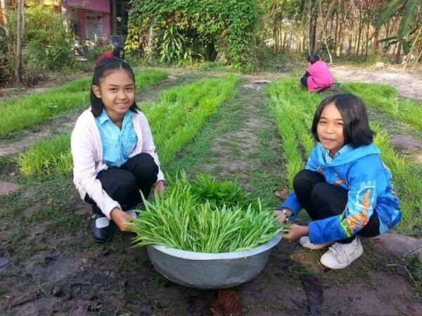 สสส. น้อมนำพระราชดำรัส สมเด็จพระเทพ ฯ ผลักดันให้เด็กไทยแก้มใส ด้วยเกษตรปลอดภัยและโภชนาการดีสมวัย