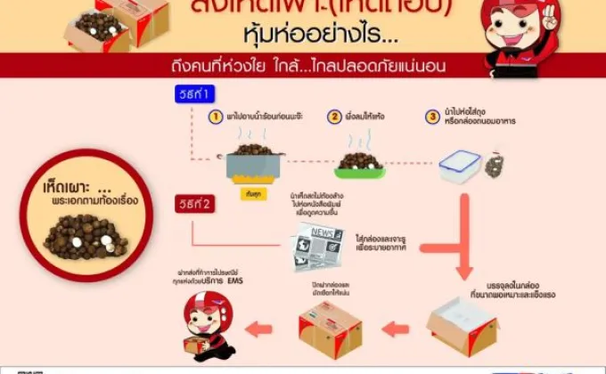 ไปรษณีย์ไทย แนะขั้นตอนการฝากส่งเห็ดเผาะผ่านช่องทางไปรษณีย์