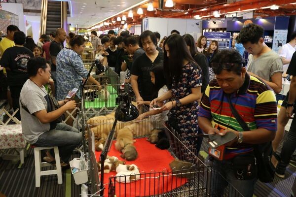 เก็บตกภาพบรรยากาศงาน Pet Expo Thailand 2016