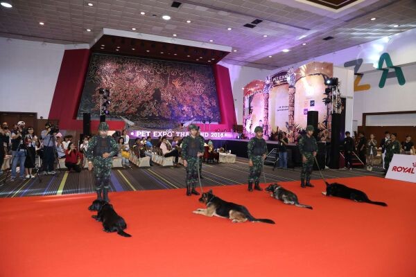 เก็บตกภาพบรรยากาศงาน Pet Expo Thailand 2016