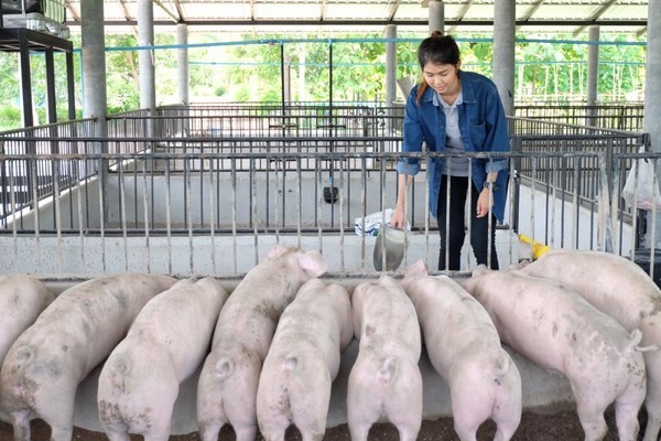 ตะลุยสวนออร์แกนิก ไปสัมผัสวิถีเกษตรกรอินทรีย์ กับมูลนิธิสังคมสุขใจ