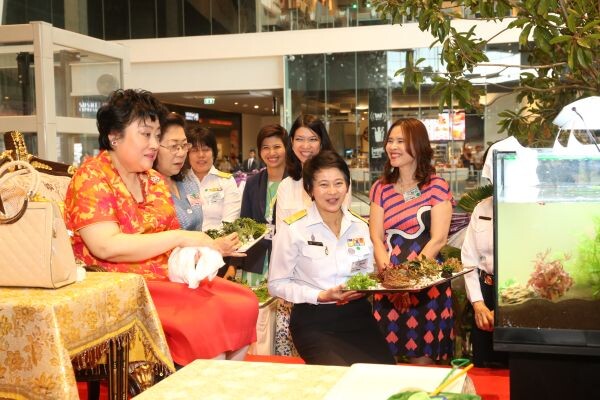 พระเจ้าวรวงศ์เธอ พระองค์เจ้าโสมสวลี พระวรราชาทินัดดามาตุ เสด็จทรงจัดตู้ปลา ฝีพระหัตถ์ ในงาน “วันประมงน้อมเกล้าฯ ครั้งที่ 28”