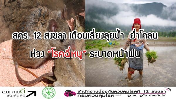 สคร. 12 สงขลา เตือนเลี่ยงลุยน้ำ ย่ำโคลน ห่วง “โรคฉี่หนู” ระบาดหน้าฝน