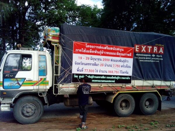 กรมการข้าวส่งเมล็ดพันธุ์ข้าวหอมมะลิคุณภาพดี ถึงชาวนา 21 จังหวัด หวังชาวนาเพิ่มผลผลิตสูงขึ้น 10-15% สามารถผลิตเมล็ดพันธุ์ไว้ใช้เองได้ในฤดูถัดไป