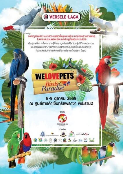 มหกรรมคนรักนก สุดยิ่งใหญ่แห่งปี ครั้งที่ 6 We Love Pets Birds of Paradise