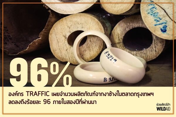 ตลาดงาช้างกรุงเทพฯ ทรุด ราคาตกทั่วภูมิภาค รายงานเผยตลาดงาช้างกรุงเทพฯ ร่วงลงไป 96% ขณะที่มูลค่าสินค้าในฮ่องกงและจีนก็ตกลงไปกว่า 70%