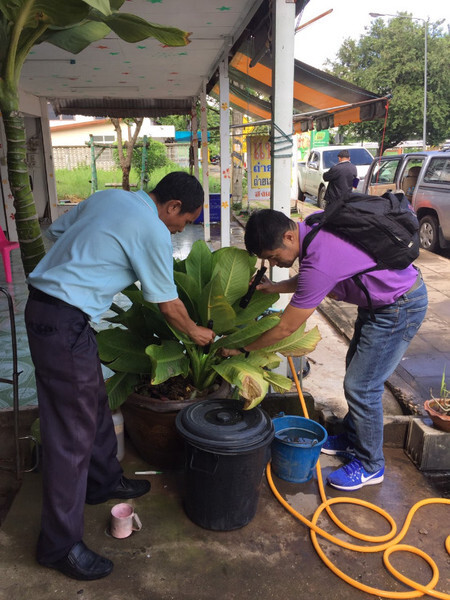 สคร.10 อุบลฯ แนะวิธีป้องกันไวรัสซิกา ย้ำไม่ให้ยุงเกิด ไม่ให้ยุงกัด ป้องกันซิก้าได้ 100 %