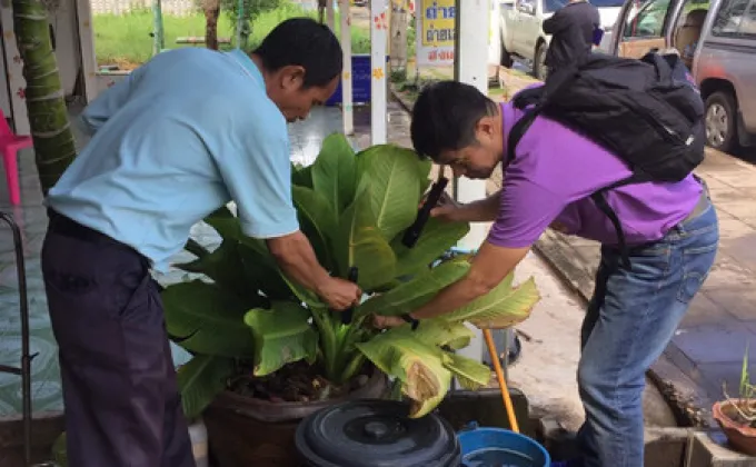 สคร.10 อุบลฯ แนะวิธีป้องกันไวรัสซิกา