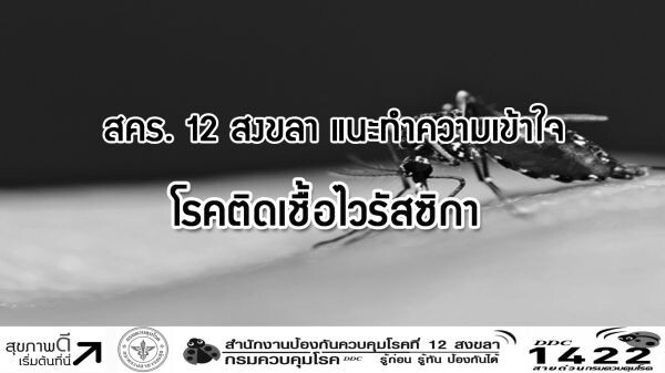 สคร. 12 สงขลา แนะทำความเข้าใจโรคติดเชื้อไวรัสซิกา