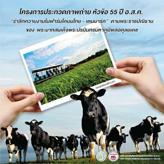 อ.ส.ค.จัดประกวดภาพถ่าย ตามรอยโคนมอาชีพพระราชทาน สืบสานพระราชปณิธานพ่อของแผ่นดิน