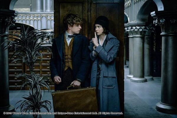 ภาพจากหนังชุดล่าสุด Fantastic Beasts and Where to Find Them พร้อมเข้าฉาย 17 พฤศจิกายนนี้ในโรงภาพยนตร์