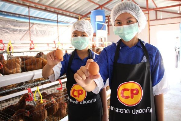 มูลนิธิพัฒนาชีวิตชนบทฯ สนับสนับสนุนโดยเครือ ซีพี และเหล่าพนักงาน เปิดรับ ร.ร. ร่วมโครงการเลี้ยงไก่ไข่เพื่ออาหารกลางวันต่อเนื่องปีที่ 26