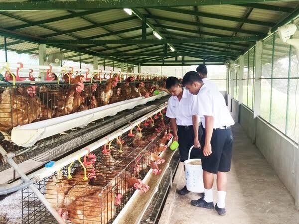 มูลนิธิพัฒนาชีวิตชนบทฯ สนับสนับสนุนโดยเครือ ซีพี และเหล่าพนักงาน เปิดรับ ร.ร. ร่วมโครงการเลี้ยงไก่ไข่เพื่ออาหารกลางวันต่อเนื่องปีที่ 26