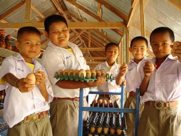 มูลนิธิพัฒนาชีวิตชนบทฯ สนับสนับสนุนโดยเครือ ซีพี และเหล่าพนักงาน เปิดรับ ร.ร. ร่วมโครงการเลี้ยงไก่ไข่เพื่ออาหารกลางวันต่อเนื่องปีที่ 26