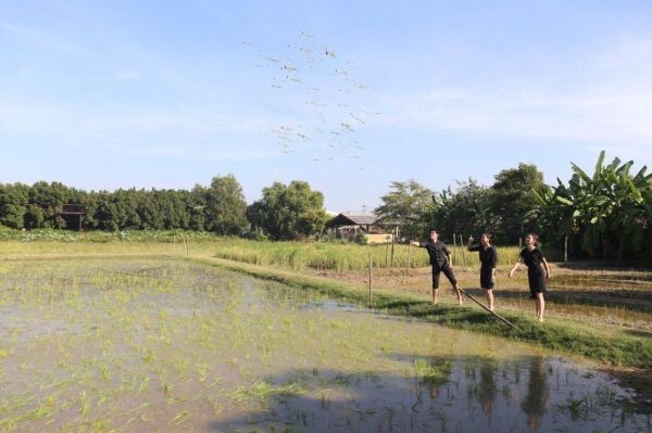 ช่อง 8 ส่ง ดาราจิตอาสา “ยีนส์ ,ฝ้าย ,มังกร” ชวนทำนาโยน ตามรอยพ่อ