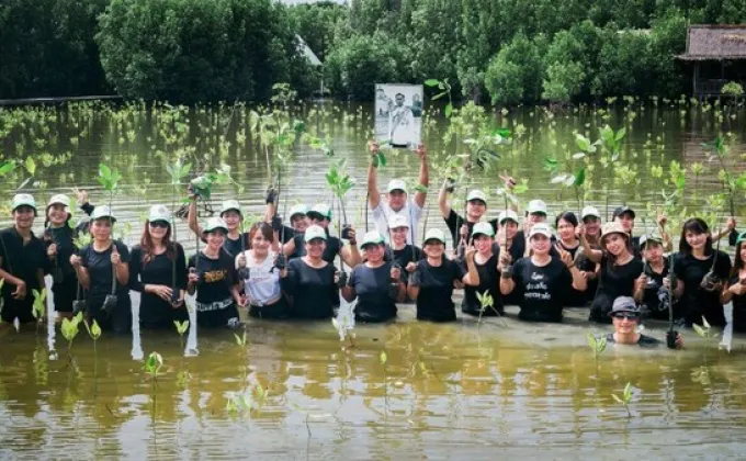 ภาพข่าว: โอเอซิสสปา - CSR ปลูกป่าชายเลน