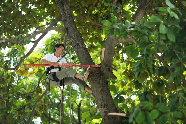 เบน แอนด์ เจอร์รีส เดินหน้าลดโลกร้อนตามแบบฉบับไอศกรีมมีดี จับมือ BIG Trees ร่วมกันเป็น “สายตรวจต้นไม้” พร้อมลงมือปฏิบัติร่วมกันฟื้นฟูทวดมะขามรอบพื้นที่สนามหลวง