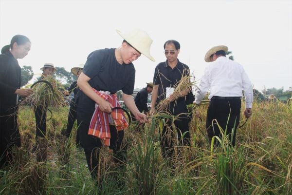 ภาพข่าว: นายกฤษศญพงษ์ ศิริ ปลัดกระทรวงวัฒนธรรมเป็นประธานพิธีเปิดกิจกรรมลงแขกเกี่ยวข้าวชุมชนเกาะกก เทศบาลเมืองมาบตาพุด