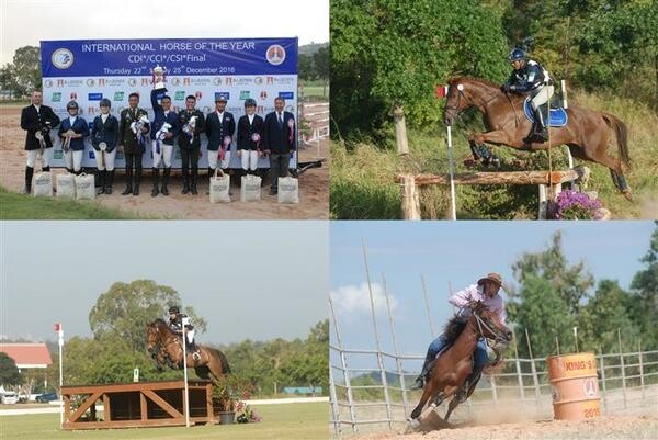 ผลการแข่งขัน SEA League World Cup Show Jumping 2016 และ CDI1* CCI1* ระดับสูงสุดในประเทศไทย