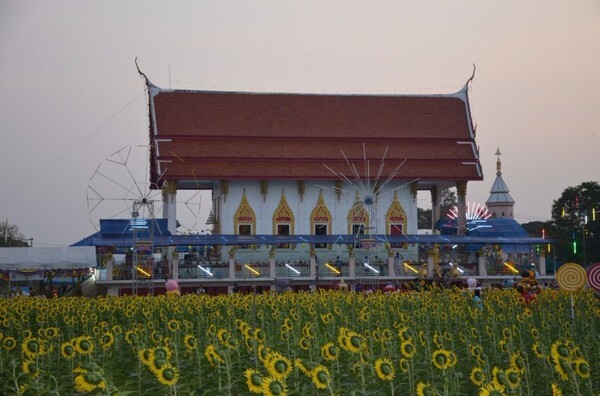 เปลี่ยนวัดให้เป็นสถานที่ท่องเที่ยว ณ วัดสว่างอารมณ์ (แคแถว) จ.นครปฐม