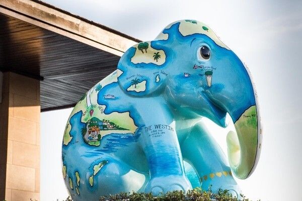 “น้องยินดี” หนึ่งในสมาชิกของขบวนช้างระดับโลก Elephant Parade มาถึงบ้านใหม่ที่ภูเก็ต