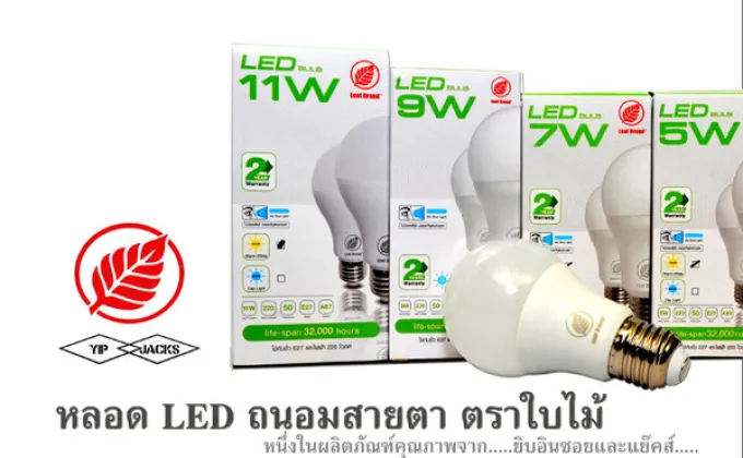 หลอด LED ถนอมสายตา ตราใบไม้ หนึ่งในผลิตภัณฑ์คุณภาพจาก