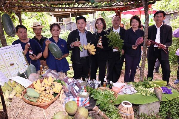 ภาพข่าว: ลงพื้นที่เยี่ยมชมแปลงผักปลอดสารพิษของสมาชิกสหกรณ์เกษตรอินทรียฺ์เชียงใหม่