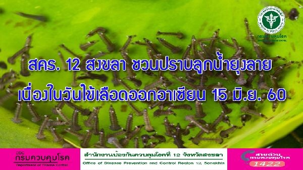 สคร. 12 สงขลา ชวนปราบลูกน้ำยุงลาย เนื่องในวันไข้เลือดออกอาเซียน 15 มิ.ย. 60