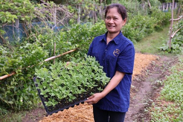 กรมส่งเสริมสหกรณ์ชูสหกรณ์เกษตรอินทรีย์เชียงใหม่ จำกัด ต้นแบบการส่งเสริมชาวบ้านยึดอาชีพทำเกษตรอินทรีย์ที่ยั่งยืน