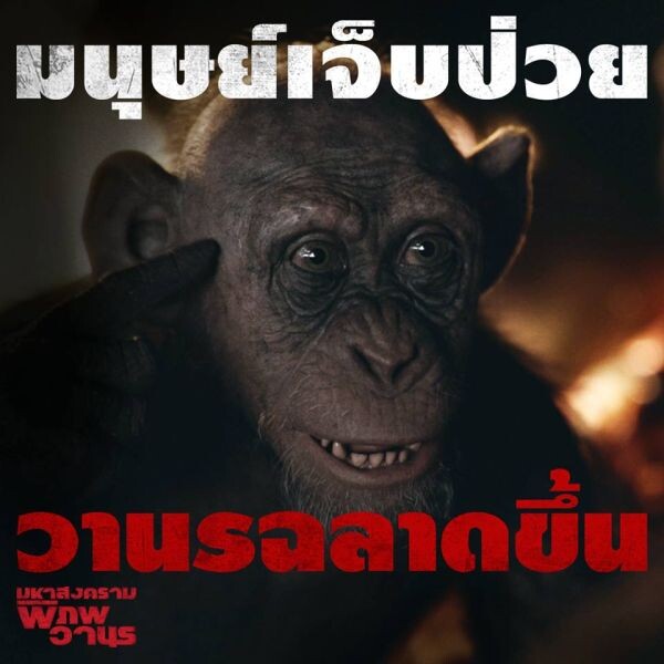 วานรเลว และมัวริส คุยอะไรกัน? ในคลิปซับไทยล่าสุดจาก War For The Planet Of The Apes