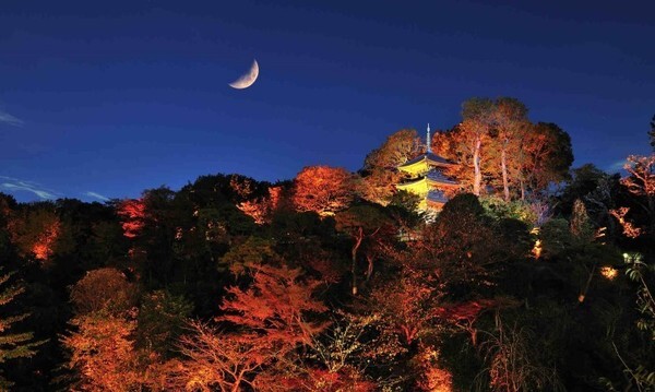 Hotel Chinzanso Tokyo ถูกรับเลือกให้เป็นหนึ่งในกลุ่มโรงแรมและรีสอร์ทที่หรูหหราติดอันดับ ภายใต้แบรนด์ Preferred Hotels & Resorts’ LVX Collection