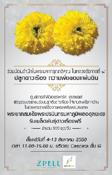 ศูนย์การค้าฟิวเจอร์พาร์ค และสเปลล์ ร่วมน้อมดวงใจ  มอบเมล็ดพันธุ์ดอกดาวเรือง 5,990 ชุด เพื่อปลูกถวายพ่อหลวงของแผ่นดิน